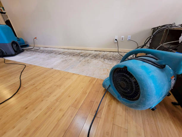 Professional Water Damage Repair technician working in Fountain, NC