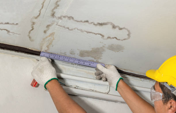 Affordable Water Damage Repair solutions in Fountain, NC